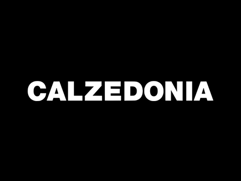 Calzedonia